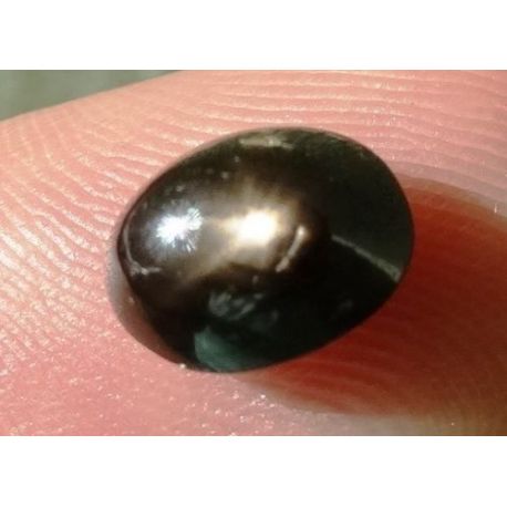 3,01 Cts Safira Negra Com Estrela Oval 8,6x6,7 mm-cod. 0270