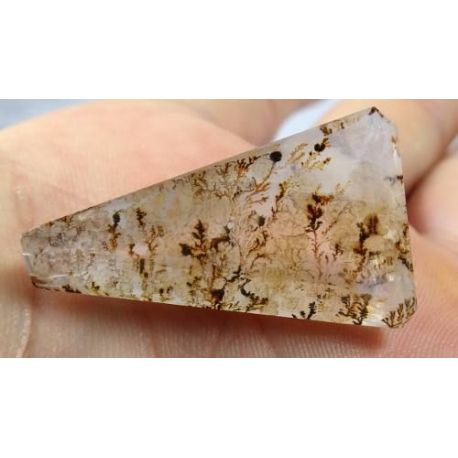 28,73 Cts  Dendrita Extra Triangular 33,8x20,3 mm  cod.0990